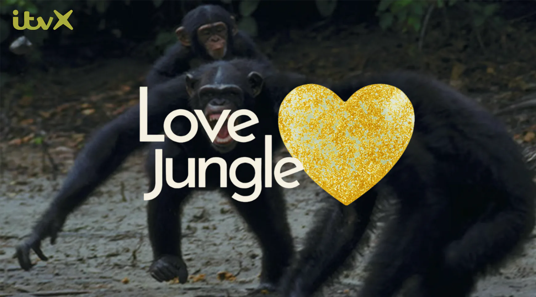 Love Jungle ident frame 4: Love Jungle end frame