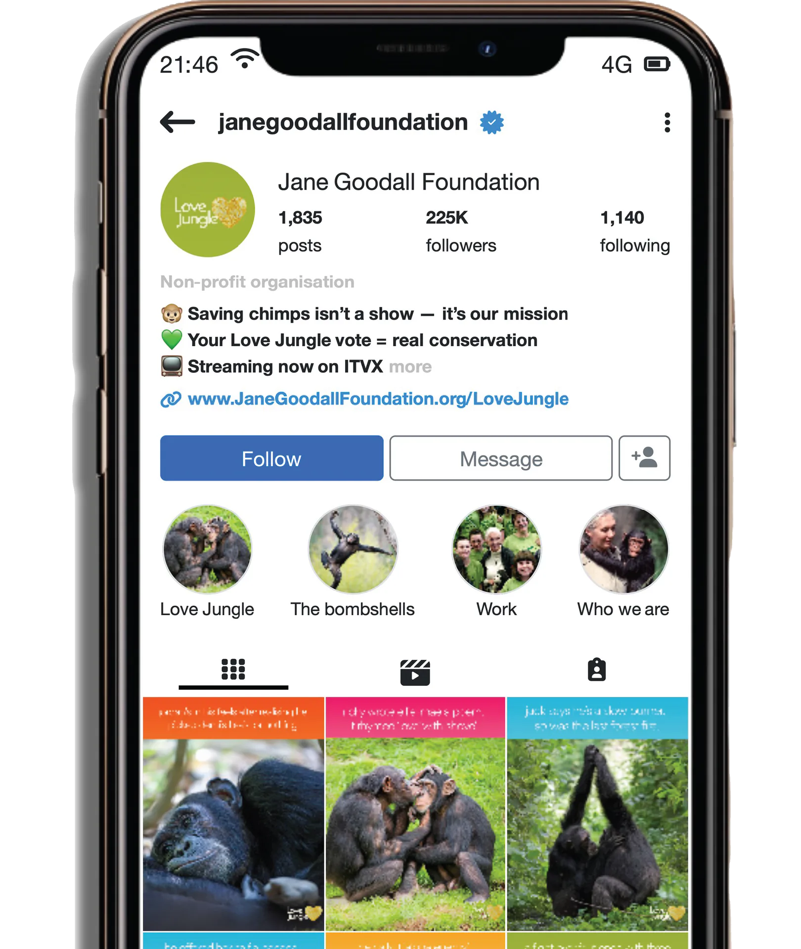 Jane Goodall Foundation Instagram profile promoting Love Jungle