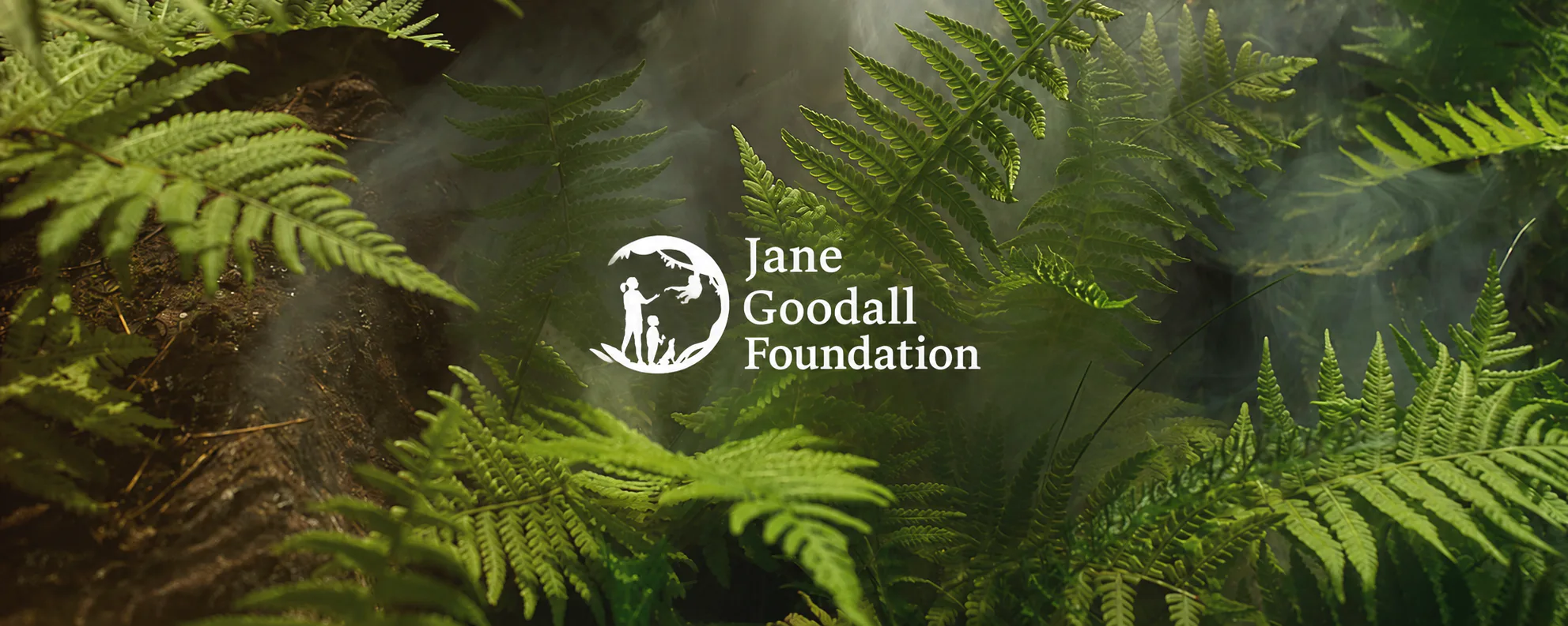 Love Jungle
