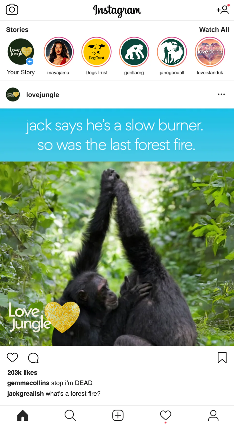 Love Jungle Instagram post: he calls it alpha energy