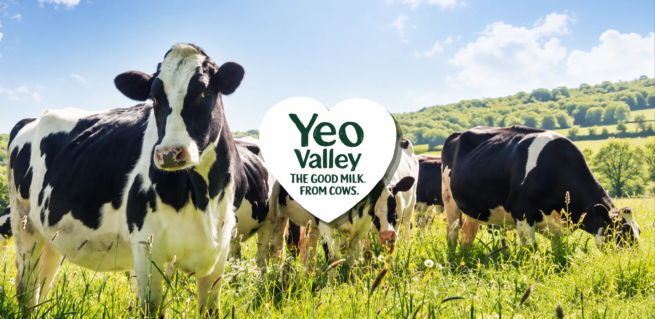 Yeo Valley