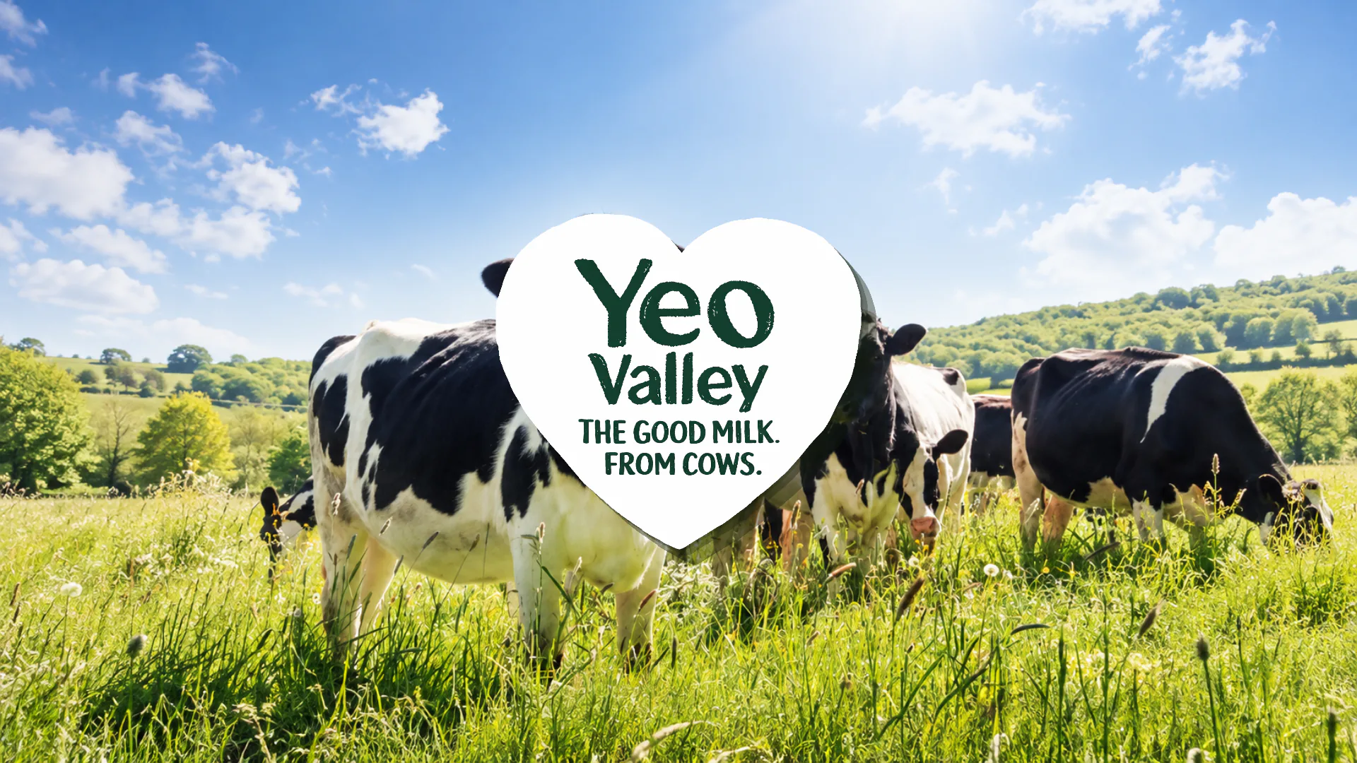 Yeo Valley
